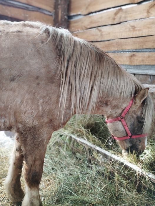 Атбасарский район