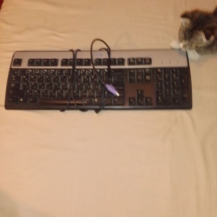 Клавиатуры новые в рабочем отличном состоянии.