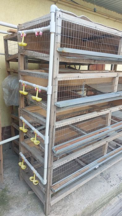 Клетки для перепелов