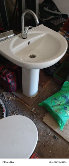 Тюльпан все целый