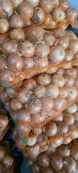 Vând ceapa de calitate. Calibru mediu spre mare