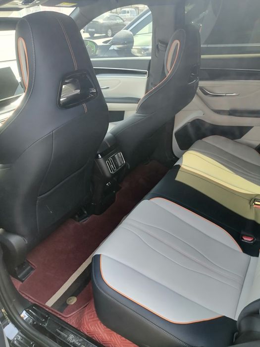 byd song plus champion ev