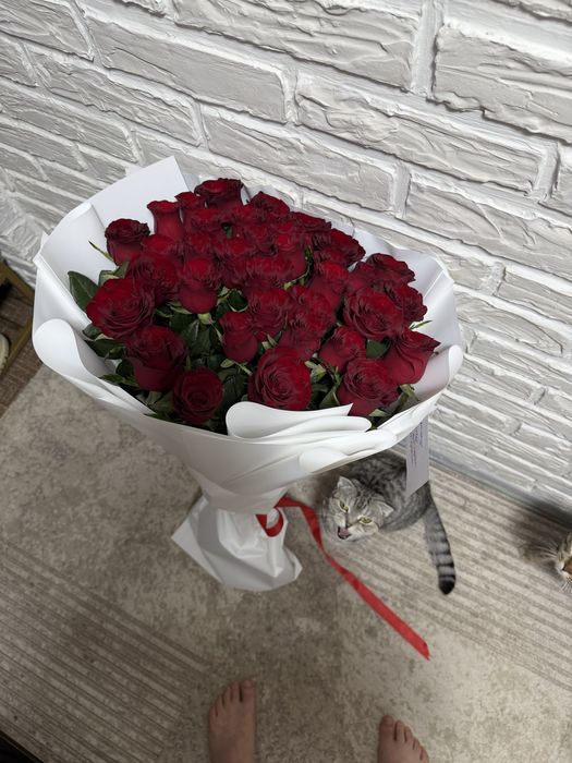 Метровые розы красные