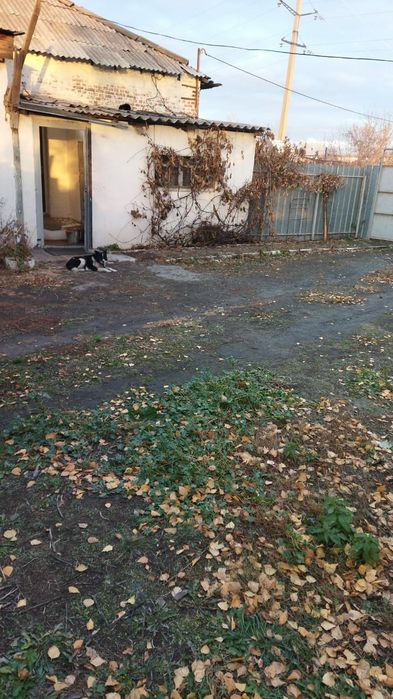 Дом на земле ,продажа