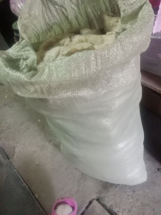 Продам шерсть баранью чистую.