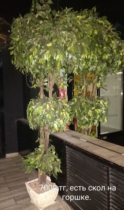 Продам искусственные деревья