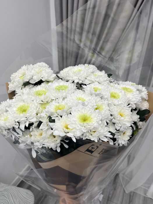 Продам б у цветы