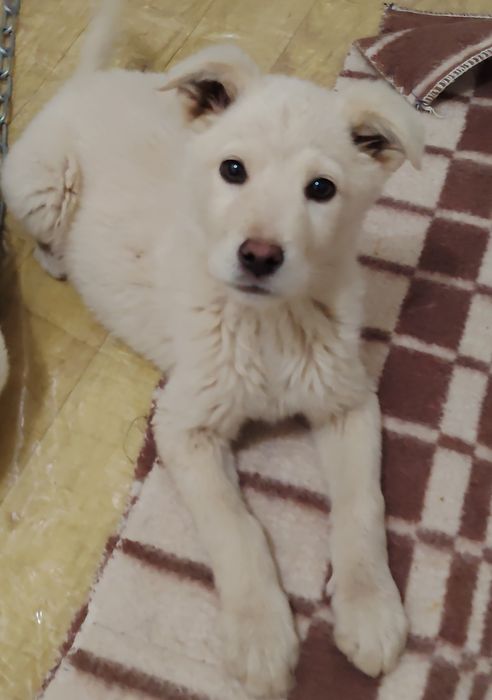 Малыши ждут своих родителей