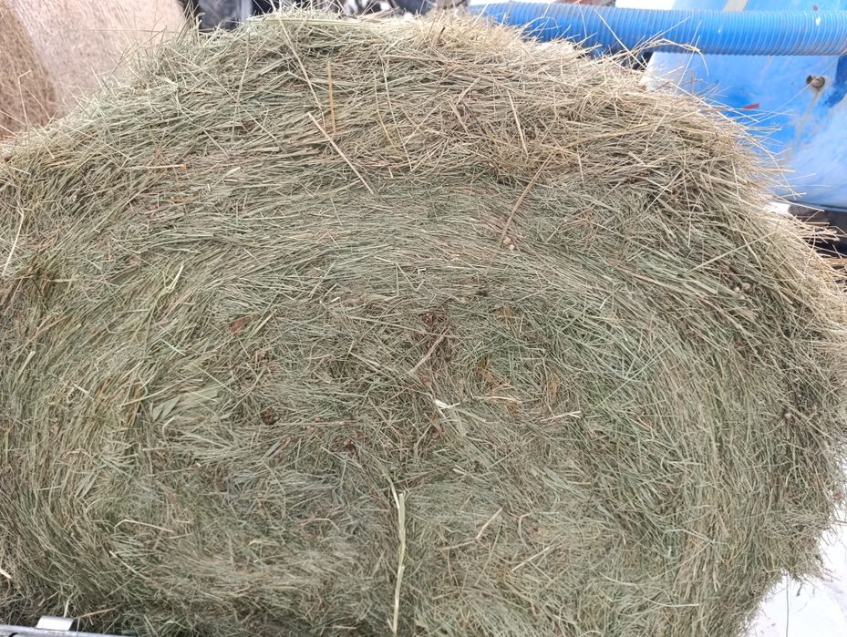 Fan baloti 130x130 apróx 300 kg