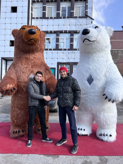 Ayiqlar sotiladi. Super skedka 10%