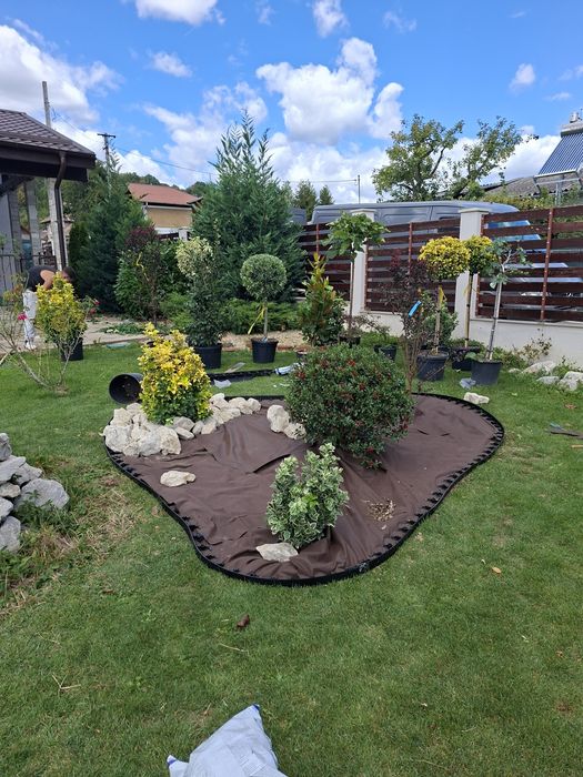 Amenajări grădini de la A la Z gazon si plante ornamentale