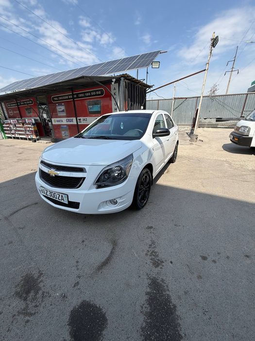 Other Cobalt 2025 — 5