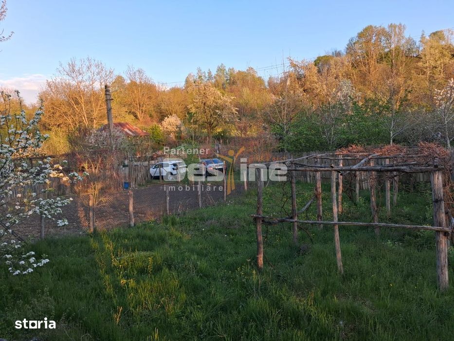 Casa batraneasca cu teren 1150 mp, vie si livada – Șerbanesti, Paus