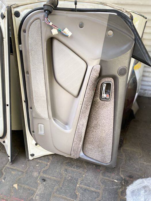 Ноускат разобрынный