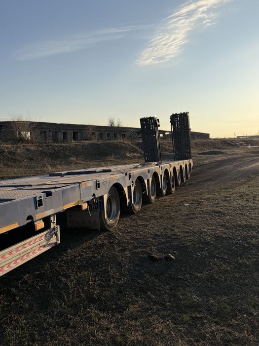 Сдам в аренду петушок