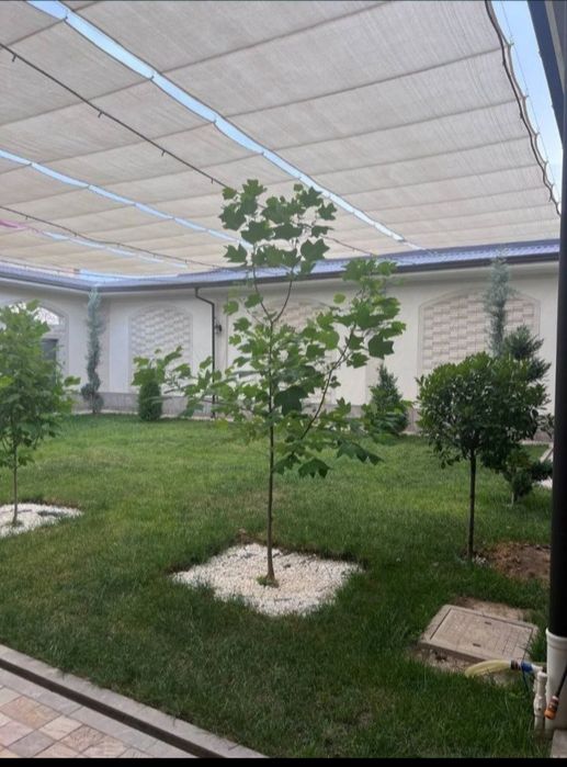 Mikroklimat soya setka