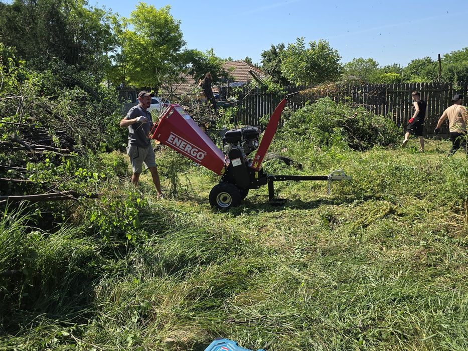 Tocator Vegetație/Curățenie Gradini/Demolari Anexe