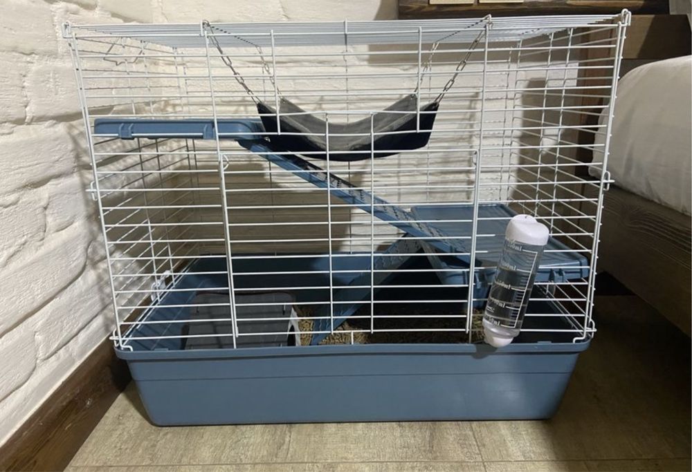 Karlik quyon va qafasini srochni sotilade