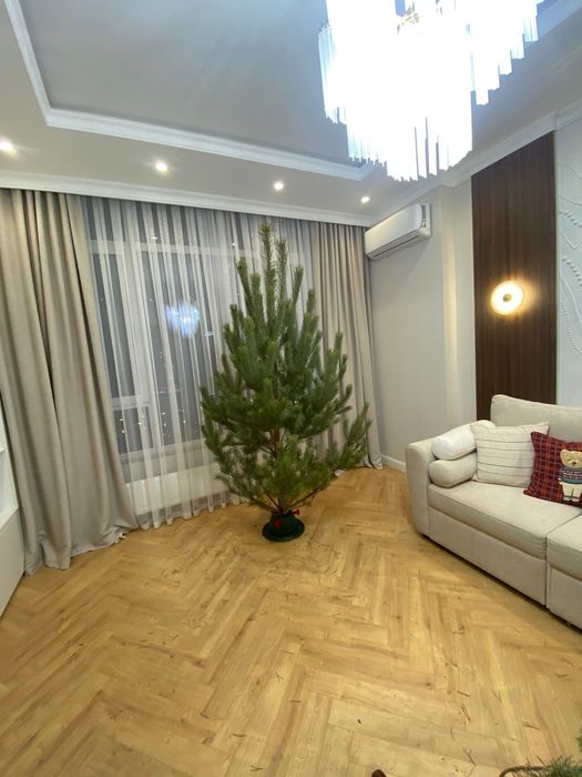 Живые ёлки сосны