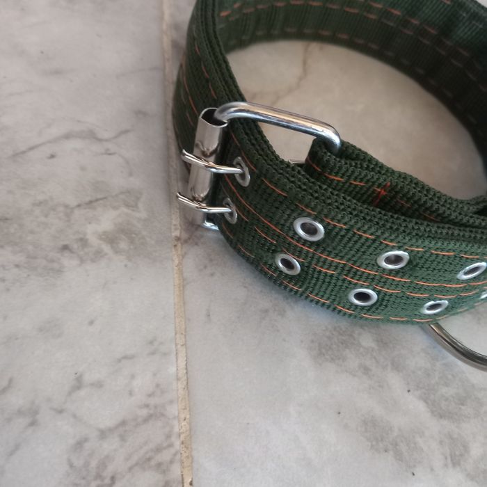 Ошейник для собаки.