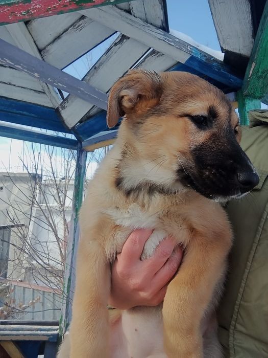 Только ответственным людям