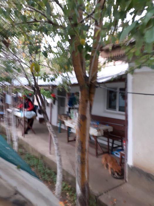 Casa batrâneasca cu 5 camere