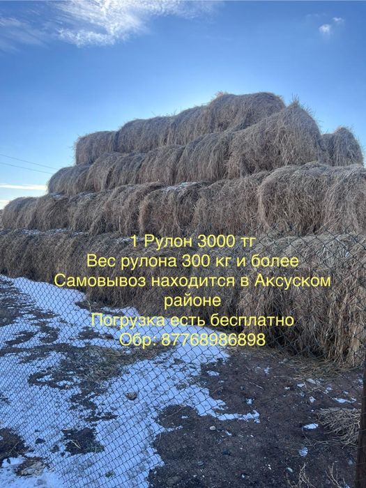 Продам сено в рулонах