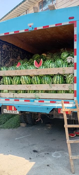 Tilfon bilan gablashamiz