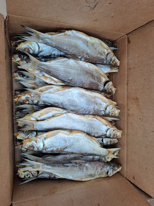 Рыбец вяленый рыба малосольный