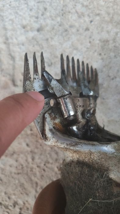 Қой қырықтык машина м200