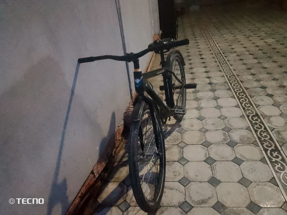 Yechqayr buzilmagan gonchik