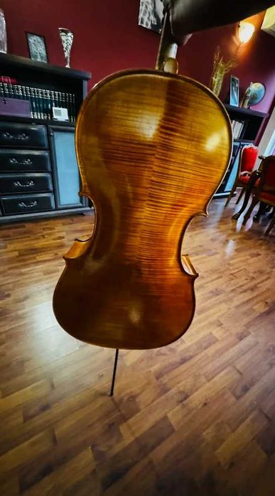 Violoncel Alexandru Ozon