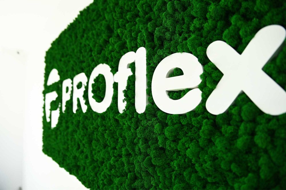 Litere din licheni decorativi - logo companii