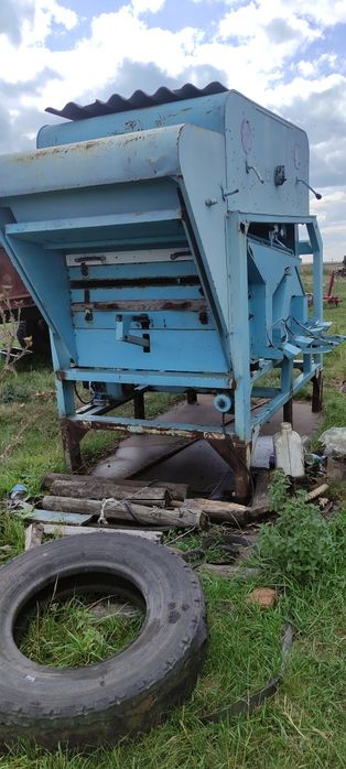Пектус гигант продам