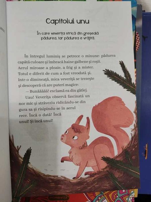 Carte pentru copii - Veverita eroina și prietenul dragon - Annika Scheffel