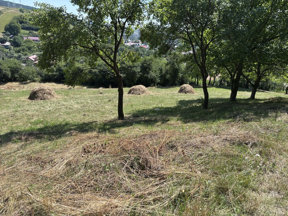 Teren intravilan in centru Garcina, jud.Neamt - Vedere 4
