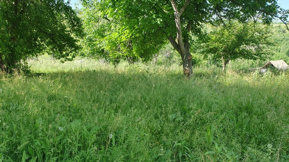 1-гектар жер сатылады Ленгерде