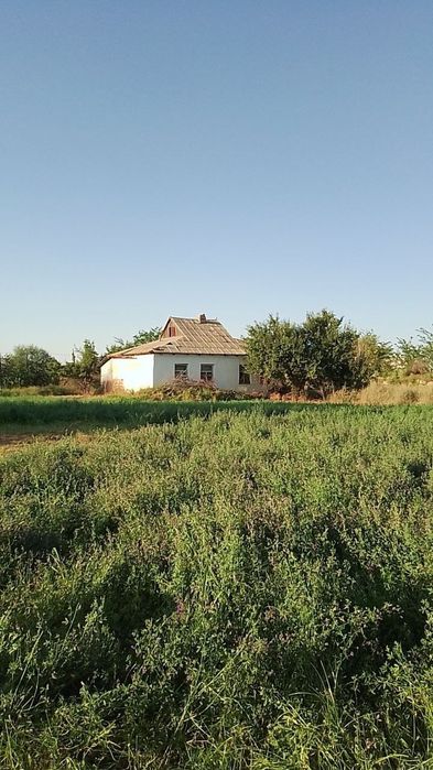 Срочно!Участка сотилади,2кадастрли Сирдареда.Продается земля с 2мя к