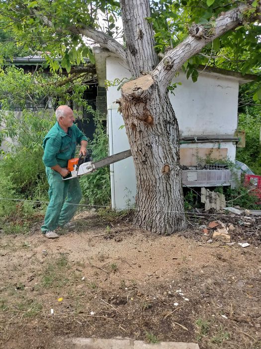 Почистване на дворове и обрасли терени в Бургаска област