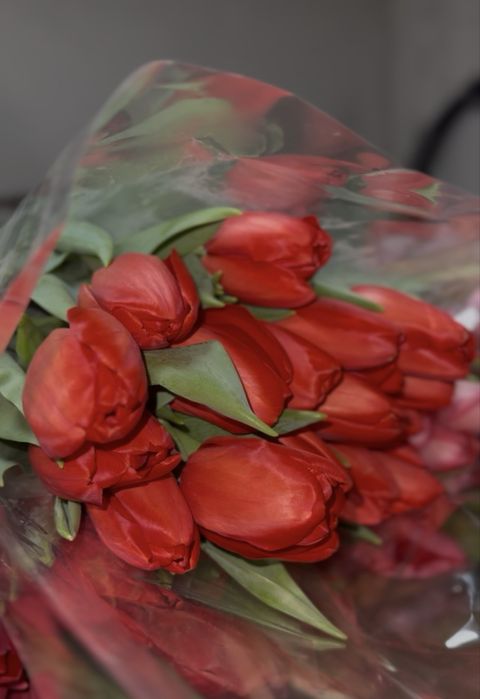 Тюльпаны оптом розницу игрушка в подарок от 15 шт