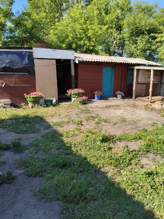 Продам дом за городом. Нечаевка