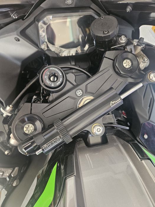 Ninja ZX-10R RSI Performance