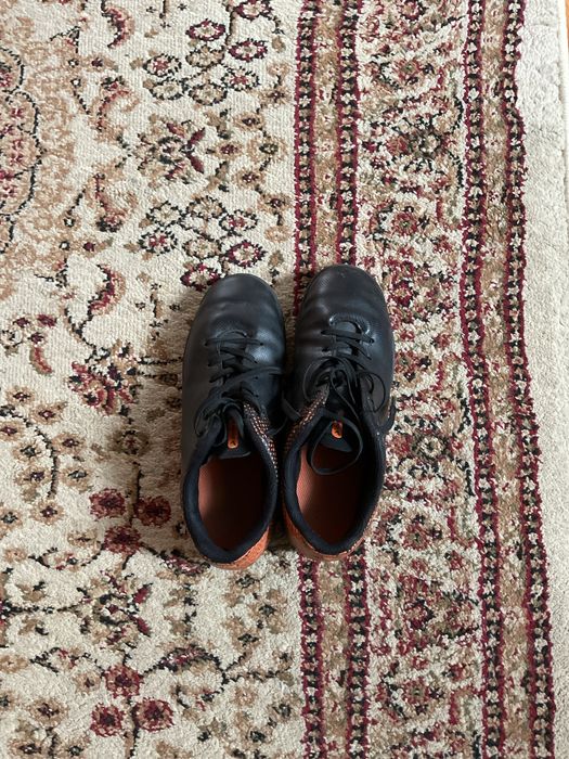 Продам сороконожки демикс