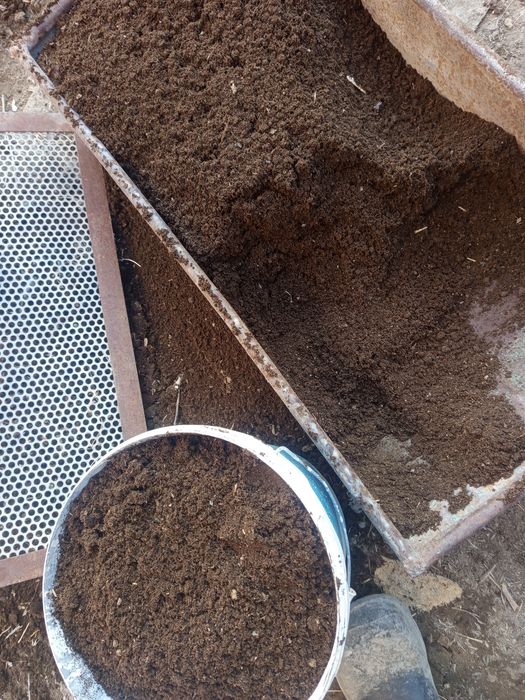 Биогумус в черте города Кызылорда