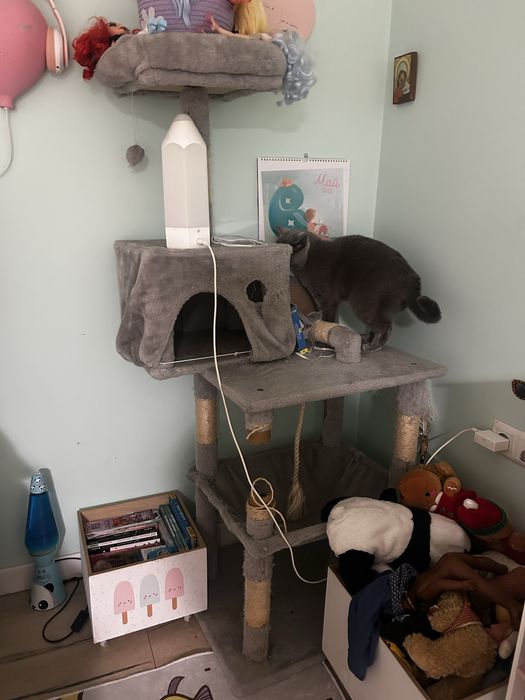 Катерушка за котки