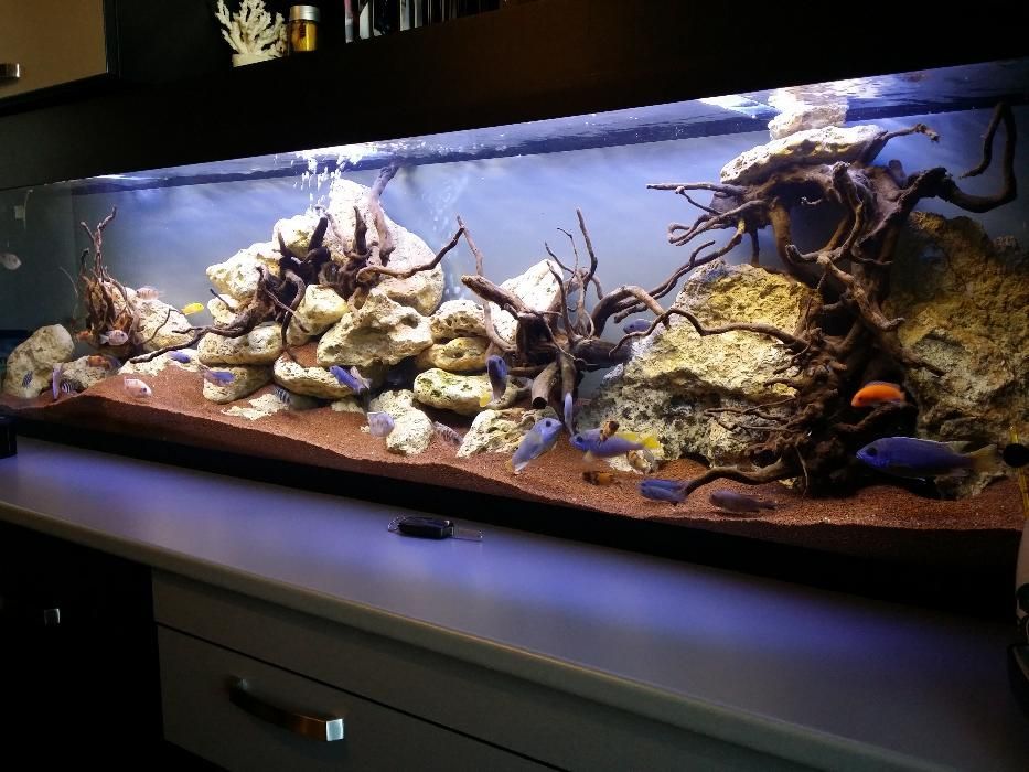 Construim la comandă acvariu de apă dulce și marin de dimensiuni mari.