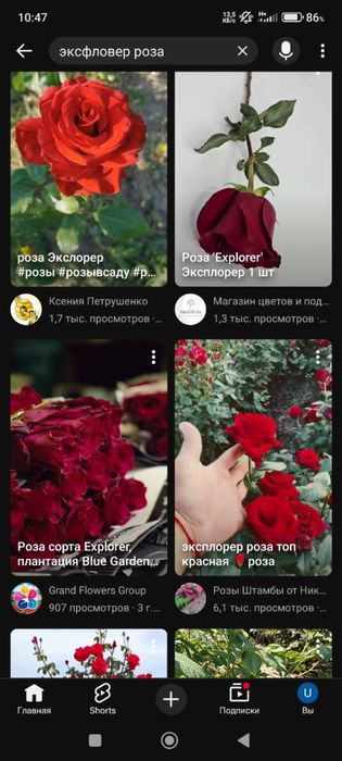 атиргул кучатлар сотилади келишилган нархларда