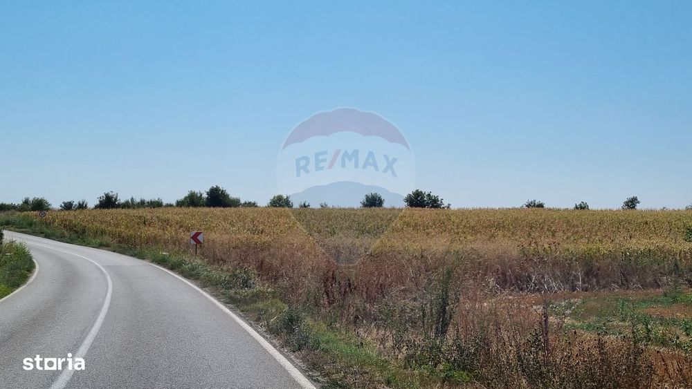 Teren 16.083 mp de vânzare – Sinești, sat Lilieci, Slobozia