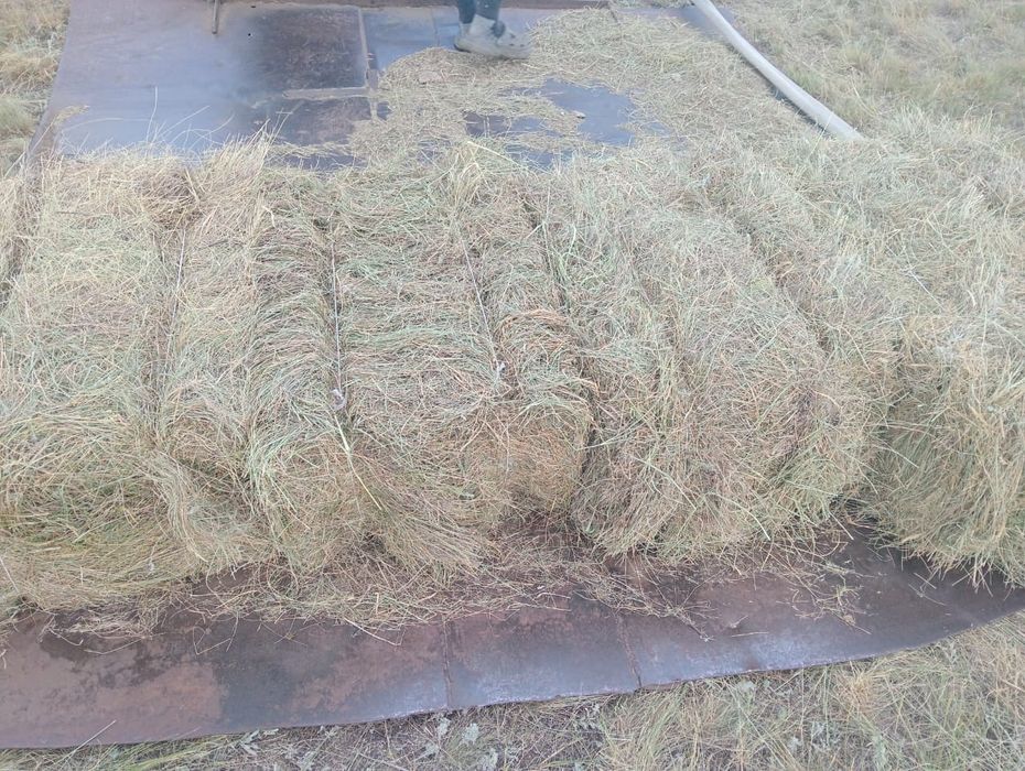 Продам сено в тюках