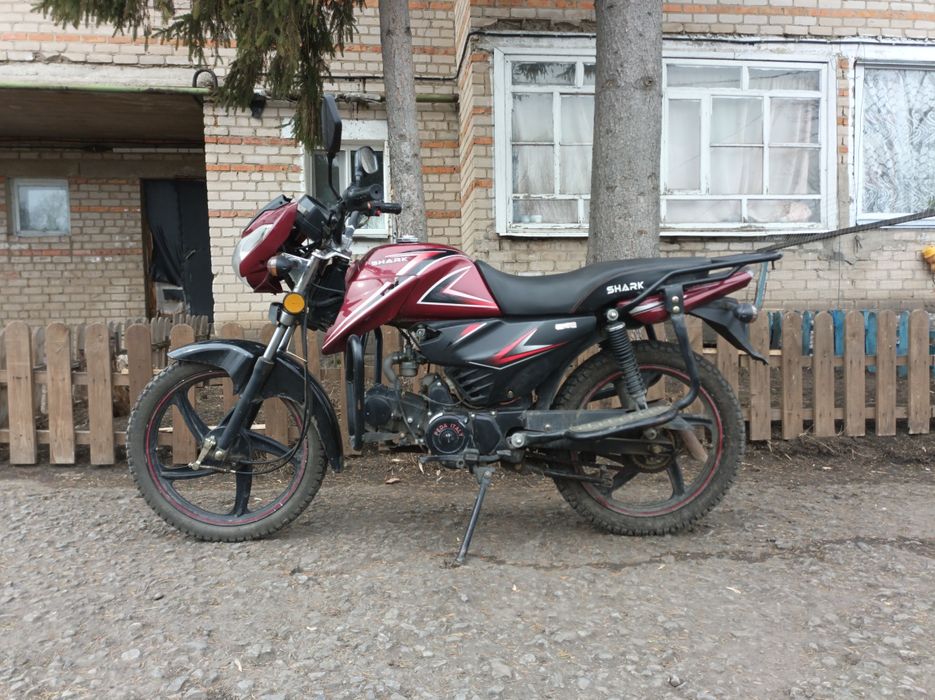 Peda shark 125 на полном ходу